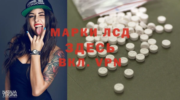 крисы Надым