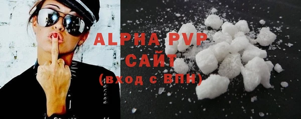 крисы Надым