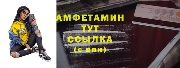 крисы Надым