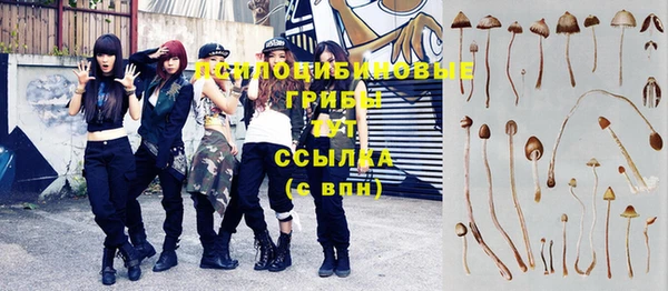 крисы Надым