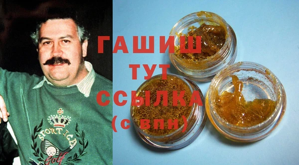 крисы Надым