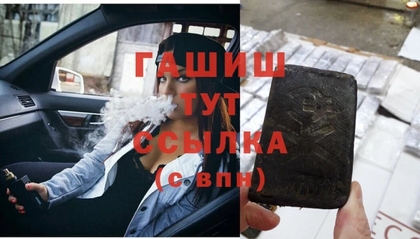 крисы Надым