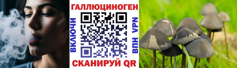 Псилоцибиновые грибы мухоморы  Клинцы 