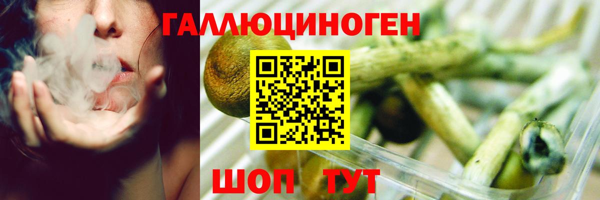 Клинцы  купить   Вход с VPN  Галлюциногенные грибы Cubensis 